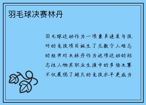 羽毛球决赛林丹